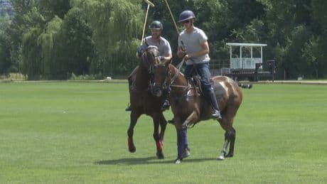 Kelowna Polo Classic returns this weekend, close to 1,000 attendees expected