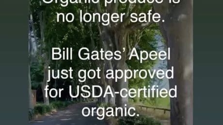 Michelle Pfeiffer slams ‘very concerning’ FDA-approved food technology once backed by Bill Gates