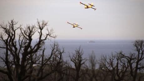 Parti de Sigean, dans l’Aude, un incendie parcourt 100 hectares et menace plusieurs habitations