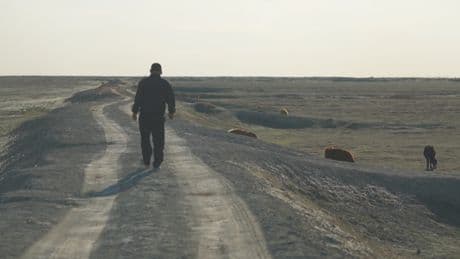 In Kazakhstan, Caspian Sea is disappearing at alarming pace