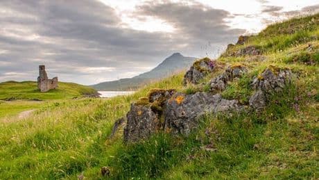 UK's most mysterious place where deer will greet you in beautiful yet eerie setting