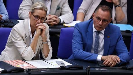 New York Times - AfD gesteht, was sie wirklich fürchtet