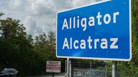 Alligator Alcatraz saved? Appeals court panel stops order to wind down facility