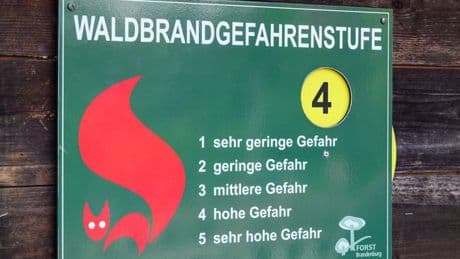 Trockenheit und Hitze: Zweithöchste Waldbrandwarnstufe in Teilen Thüringens