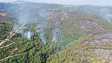 Balıkesir'deki orman yangını 29 saat sonra kontrol altına alındı