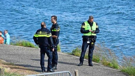 Duiker overleden na ongeval in Bruinisse
