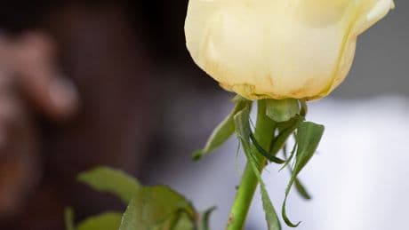 A Small City That Lost Big in the Dominican Nightclub Tragedy