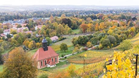 Dresden: Elbflorenz – Natur abseits der Touristenpfade
