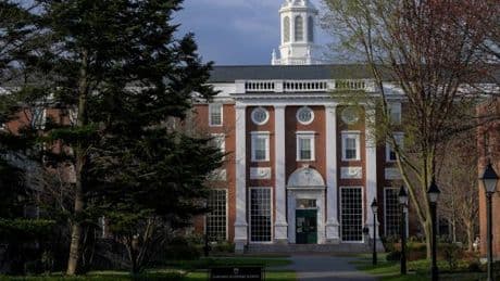 Bundesregierung bietet Harvard Eröffnung eines „Exil-Campus“ in Deutschland an