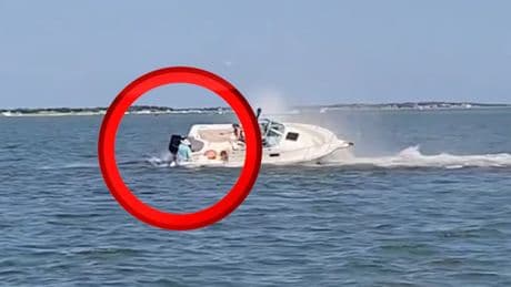 Drama vor New Jersey - Wal kracht in Motorboot