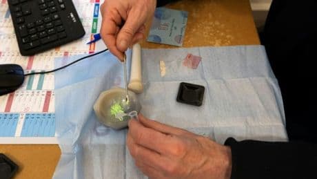 Paris: fermeture provisoire d'un centre pour usagers de drogues au cœur de la capitale