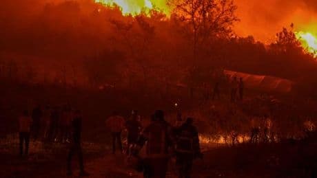 En Turquie, deux incendies font rage aux portes de Bursa, la quatrième ville du pays