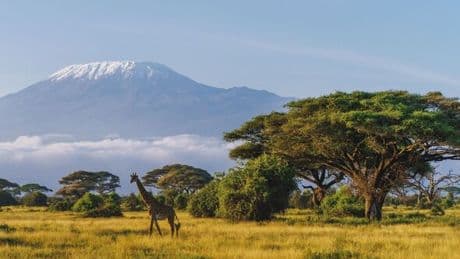 Scramble in Africa to plug huge £45bn hole