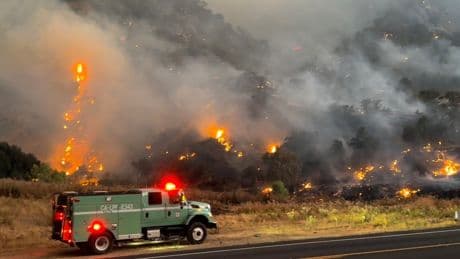 Gifford Fire destroys 65,000 acres as high wind warnings raise fears California blaze could grow