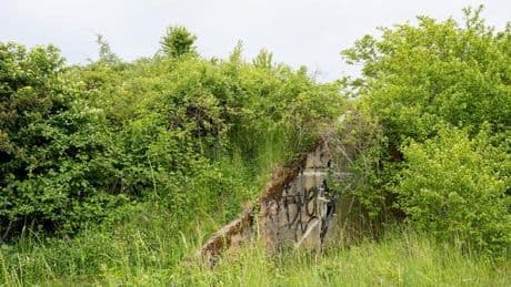 Bildung in der Natur: Von US-Militärs und Natur: Audioguide für Ober-Olmer Wald