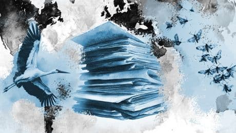 Interessantes über Bürokratie, Skandalöses über Störche: Die besten Sachbücher im August