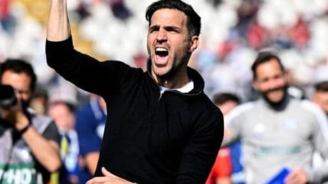 Bayer auf Trainersuche: Warum alles für Cesc Fàbregas spricht