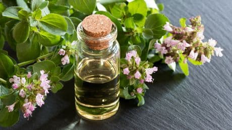 Dieses Öl soll wie Antibiotika wirken: Eine Sache sollten Sie aber beachten