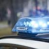 Ermittlungen laufen: Jugendliche mutmaßlich in Berliner Naturschutzgebiet vergewaltigt