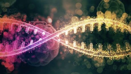 Estudian el ADN de los vikingos y descubren una mutación por la que serían inmunes al VIH