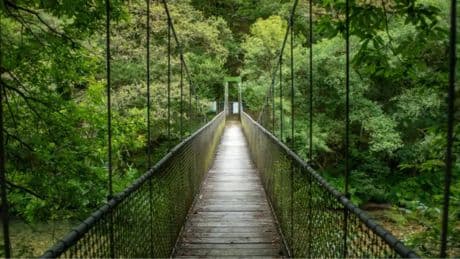 Una de las rutas más increíbles de España: un monasterio y puentes colgantes entre la naturaleza