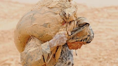 Chinas Dominanz: Die Seuche der Seltenen Erden