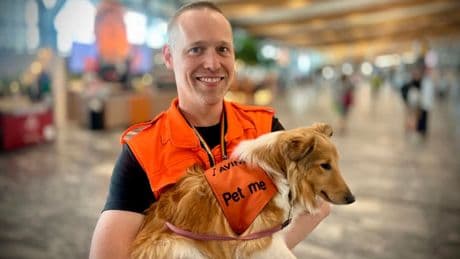 Lilla beruhigt Reisende - Airport führt Streichelhund gegen Flugangst ein
