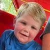 Horror as toddler missing a kidney is stung 150 times by wasps and is left fighting for his life