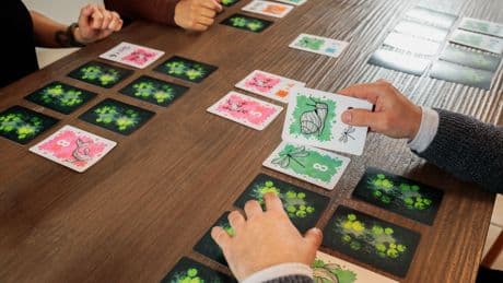 « Jardins suspendus », « Symbiose », « Takenoko » : trois jeux pour une pause florale
