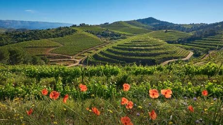Wild wanders and breathtaking vistas: Go off-grid amid the Costa Dorada’s incredible nature