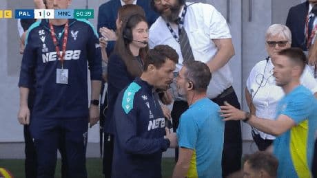 Man City and Crystal Palace staff in furious touchline bust-up as they are forced apart in FA Cup final