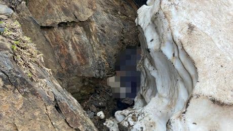 Bitlis'te pancar toplamak için dağa giden kadın ölü bulundu