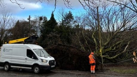 West Lothian still clearing away damage from Storm Eowyn four months on