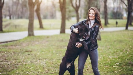 Hundetraining: So bleibt Ihr Vierbeiner beim Begrüßen ruhig