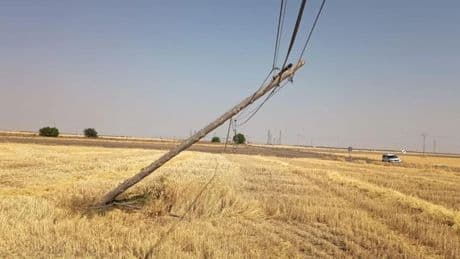 Los agricultores alertan del saqueo de tendidos telefónicos: &quot;Cables colgando, postes caídos y ladrones impunes&quot;