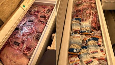 Man busted for ‘hoarding $31,000 worth of stolen meat’ in freezer stash