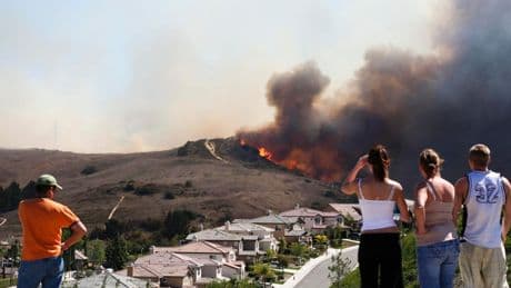 New State Laws To Protect People, Pets In Wildfires, Extreme Weather