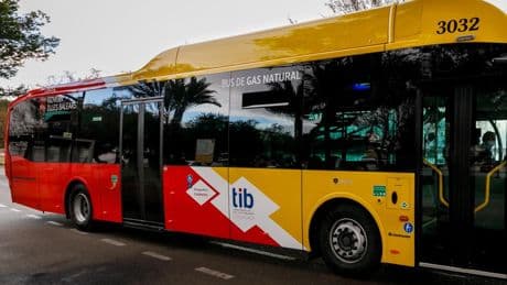 Un muerto y ocho heridos en un choque entre un autobús y un vehículo en Mallorca