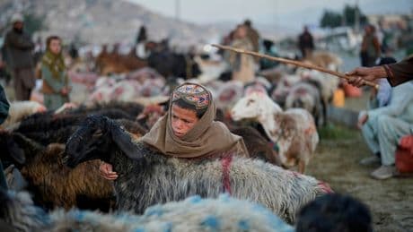 AP PHOTOS: Afghans mark Eid al-Adha on its third year since the return of the Taliban
