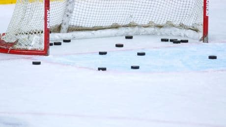 Eishockey-Löwen gehen unter: „Desaster“ und „Schande“