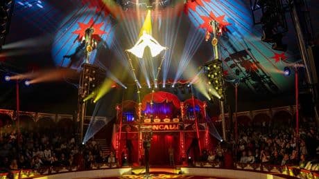 Circus Roncalli in Lübeck: Zirkus-Artisten stürzen während Probe ab