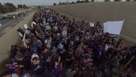 "C'est commis en notre nom": ces Israéliens qui manifestent pour un cessez-le-feu à Gaza
