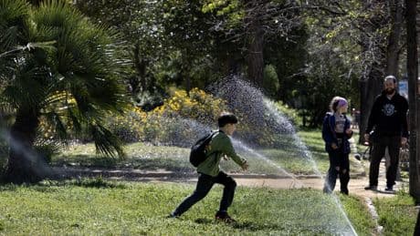 Renovación integral del riego del parque de la Ciutadella