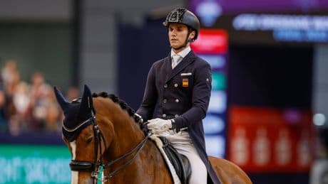 Nach CHIO Aachen: Top-Pferd von Dressurreiter stirbt bei tragischem Autounfall