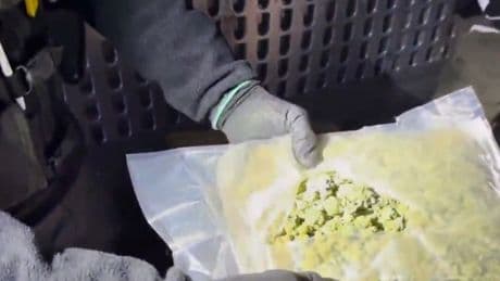 311,5 kg uyuşturucu ele geçirildi
