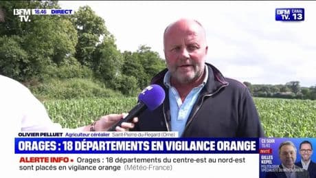 Cet agriculteur de l'Orne estime entre "30 à 50%" les pertes sur ses récoltes après le passage de violents orages