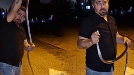 Çamaşır makinesinde yılan avı! Metrelerce uzunlukta, elleriyle çıkardı