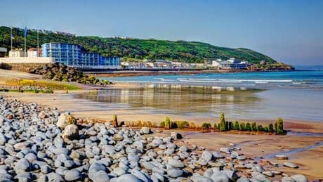 Devon beach horror as human remains found washed up and witness spots 'leg'