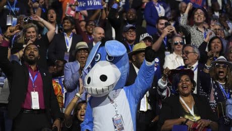 A dangerous new idea about what Democrats are doing wrong