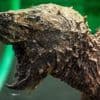 „Können einen Besenstiel zerbeißen“: Gefährliche Schildkröte bei Kanalarbeiten in Norddeutschland entdeckt